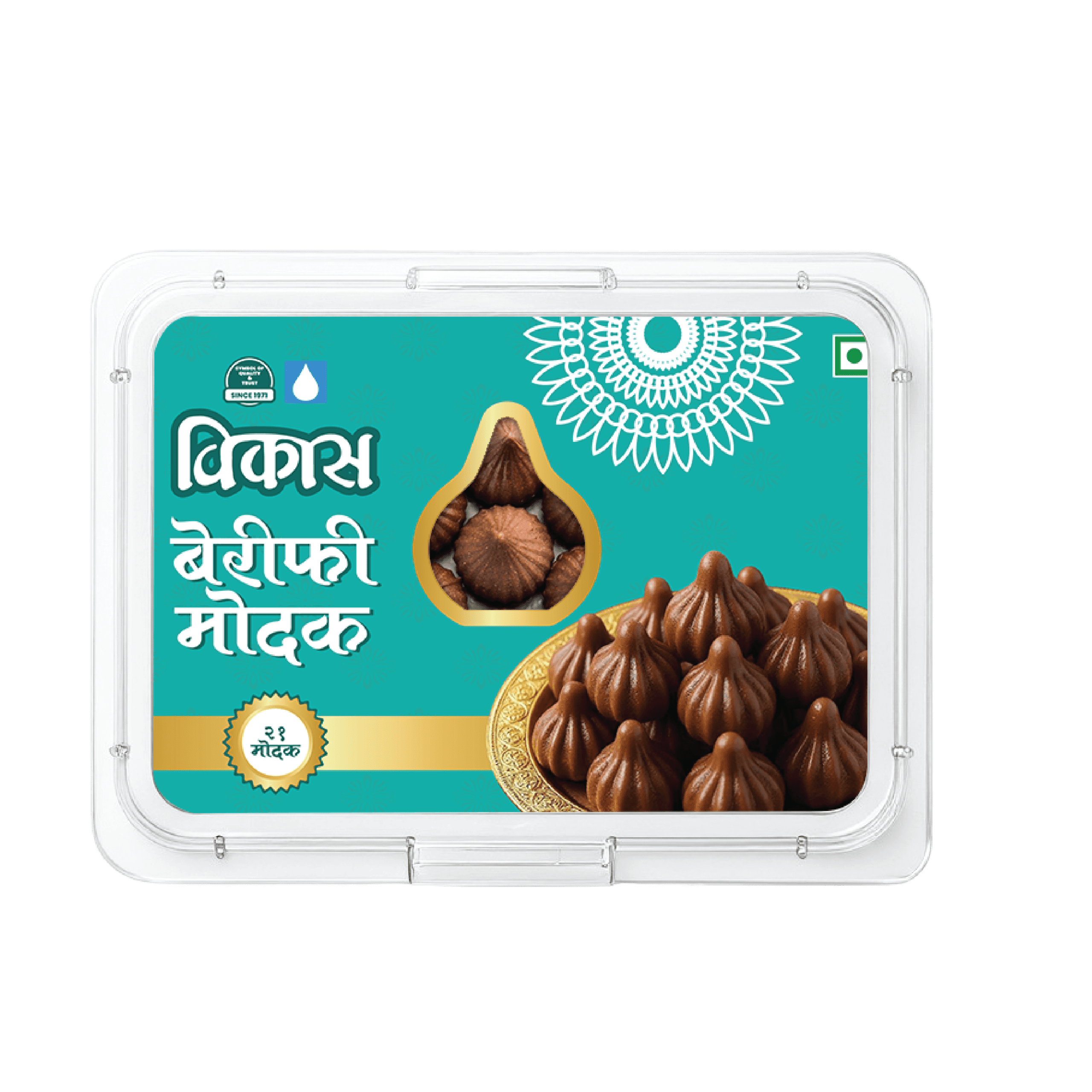 Vikas Modak